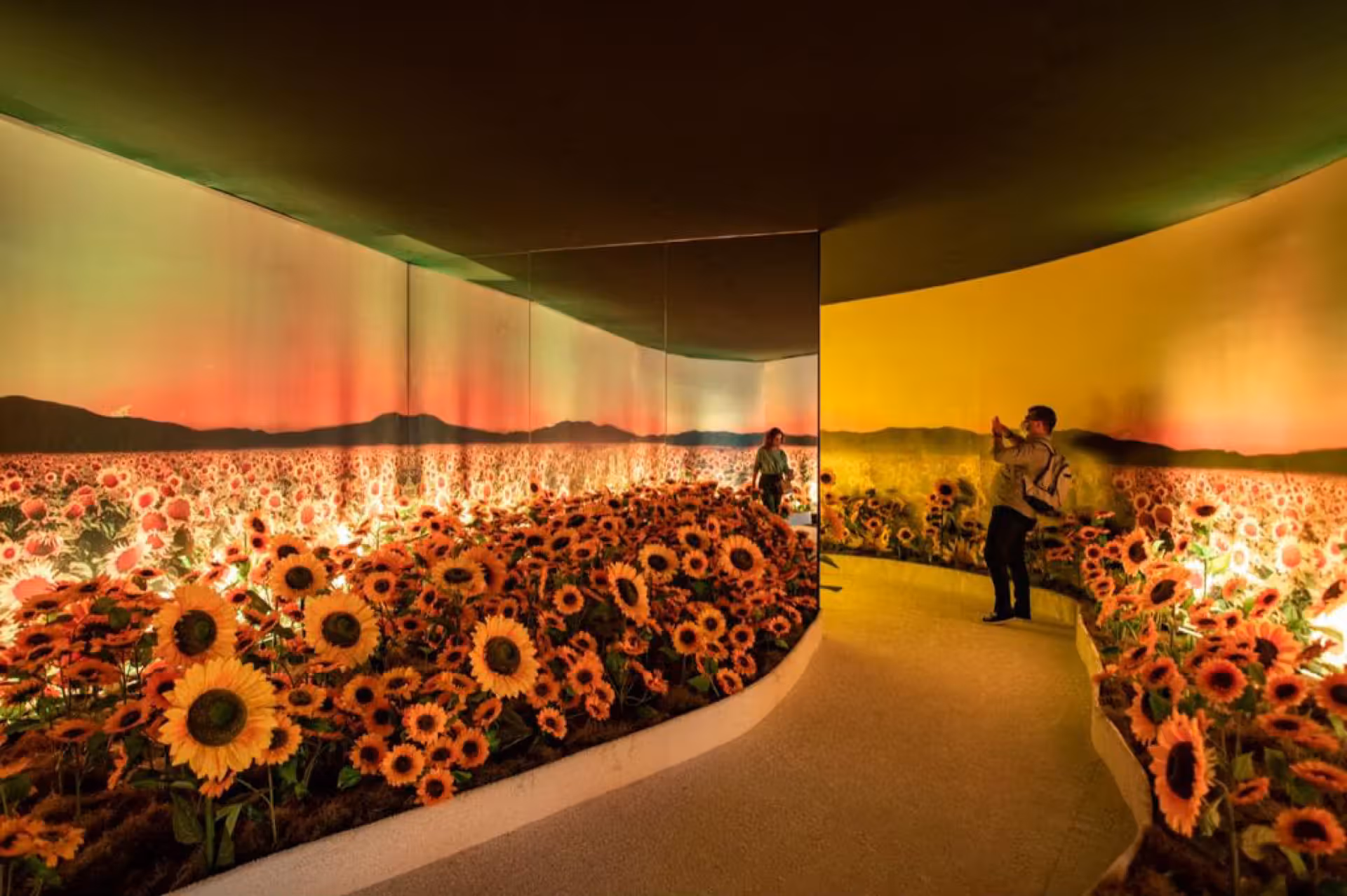 Van Gogh Live 8K e Beyond Van Gogh - 10